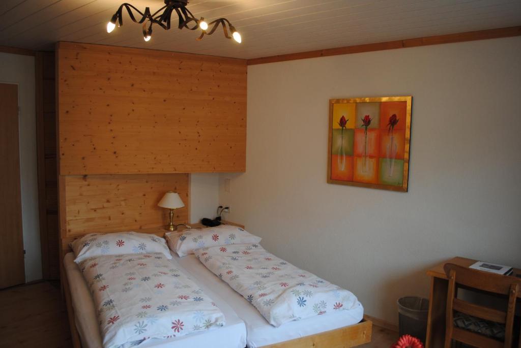 Chalet Hotel Adler Ag Kandersteg Camera foto